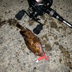 ジグヘッドに‼️