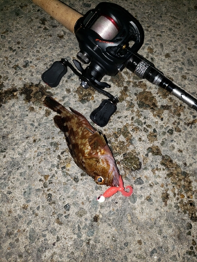 ジグヘッドに‼️