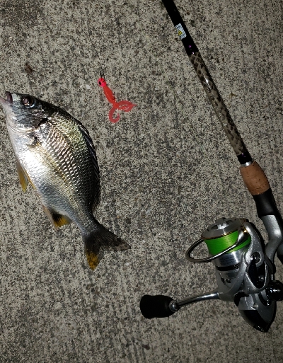 アーバンサイドゲーム‼&#x…