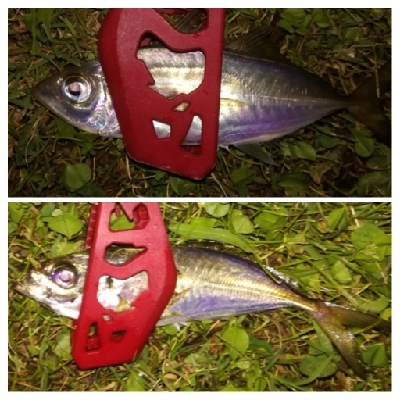 アジンガー2100〜2151