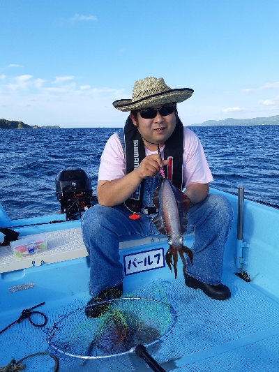 アオリとコサバ