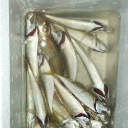 大雨の中でも釣りをする