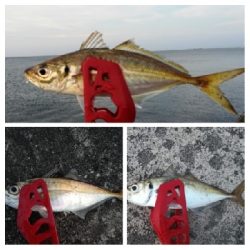 アジンガー1815〜1930