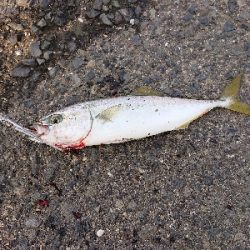 ベアリング換装