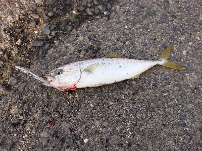 ベアリング換装