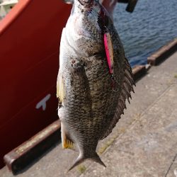 停泊船 真っ昼間