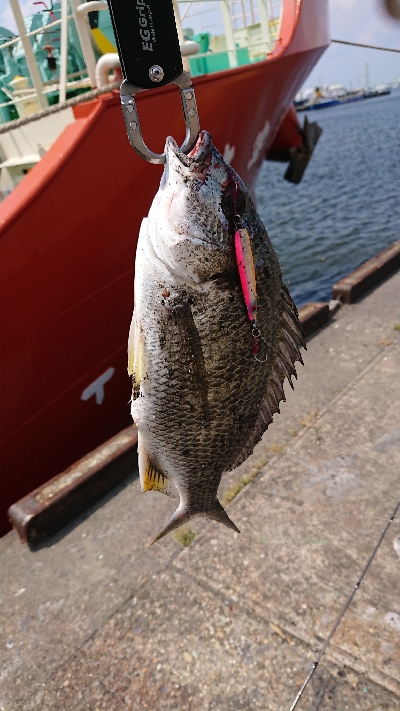 停泊船 真っ昼間