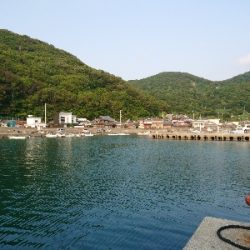 サビキ時々アジング