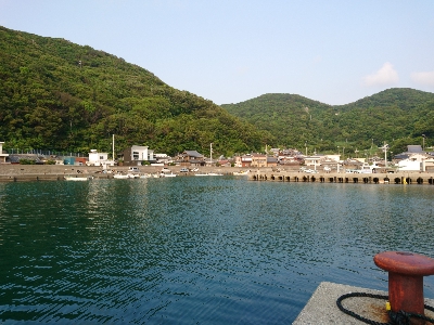 サビキ時々アジング