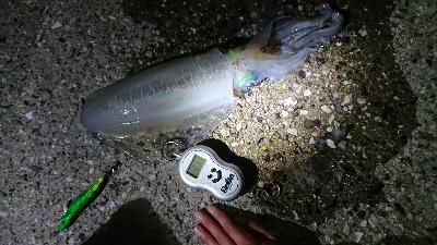 自己ベスト更新！