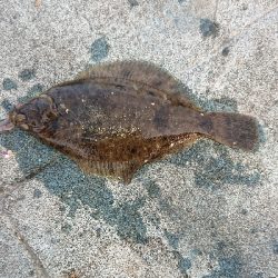 小潮なのに・・・