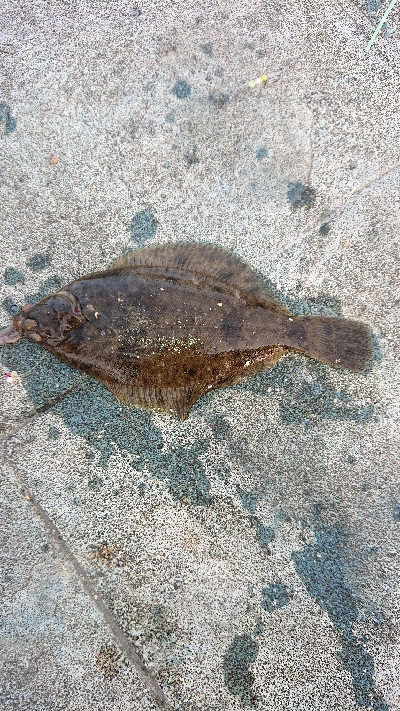 小潮なのに・・・