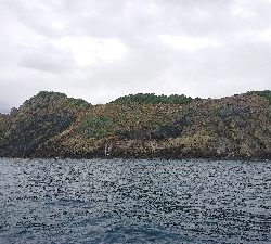 なんとか真鯛ゲット