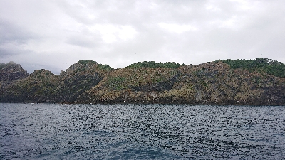 なんとか真鯛ゲット