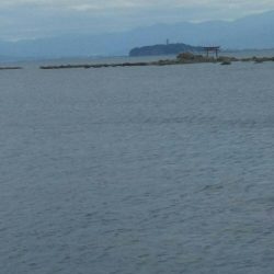 梅雨の合間の釣行