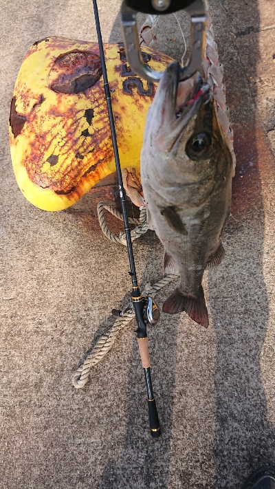 停泊船 バラシ過ぎです