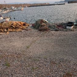 ここでもツバス