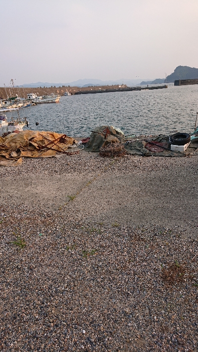 ここでもツバス