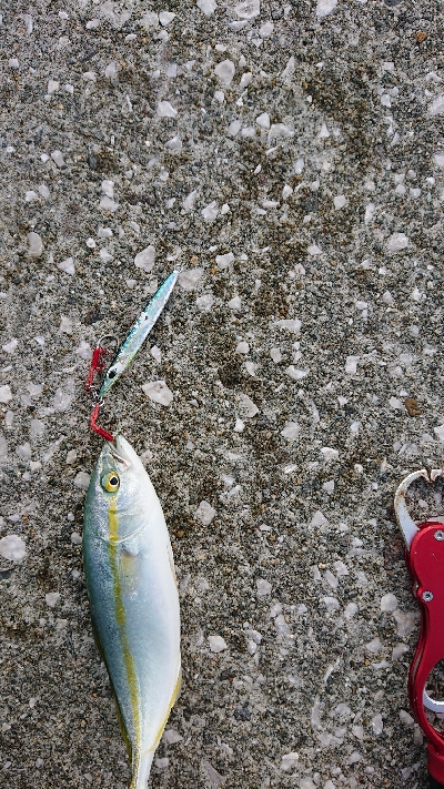 どこいっても。