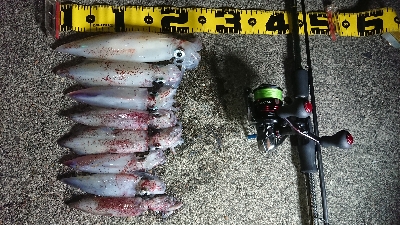 昨日に引き続き