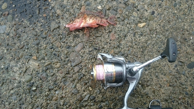 雨の弱まった時に