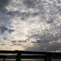 ツバス祭継続中‼️