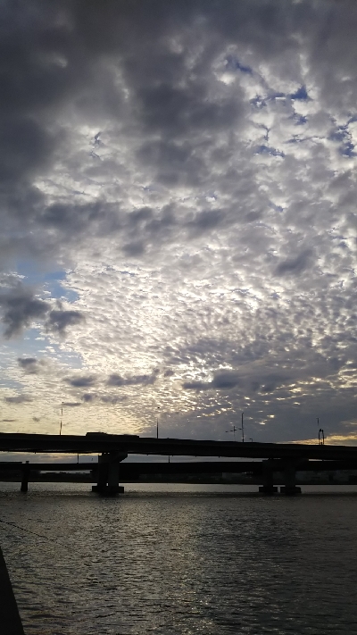 ツバス祭継続中‼️