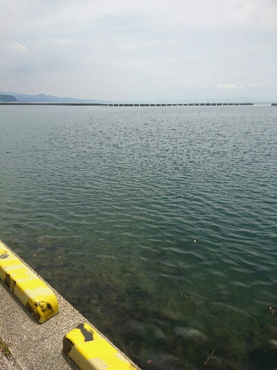 やっとこの時期が！