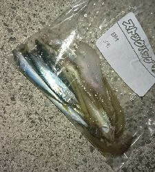 キス釣り…砂入れで不発に(>_<)