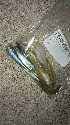 キス釣り…砂入れで不発に(>_<…