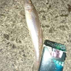 ちょい投げで思わぬ外道が…