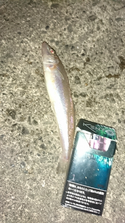 ちょい投げで思わぬ外道が…