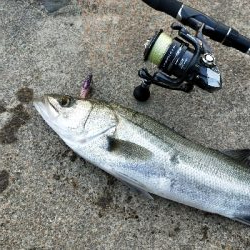 リアクションで一本だけ