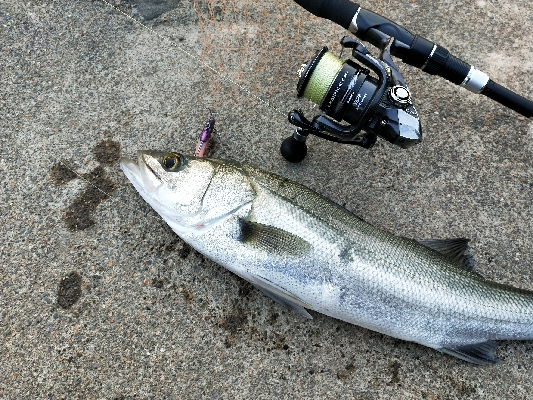 リアクションで一本だけ