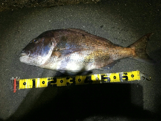 門前河口にある漁港