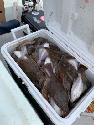 ソウハチカレイシーズンイン!