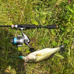 小バス釣りに行ってきました。