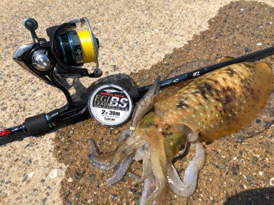 ジギング予定…でも？