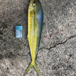 口を使わせられない