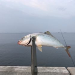 ツバスのお祭り騒ぎ！