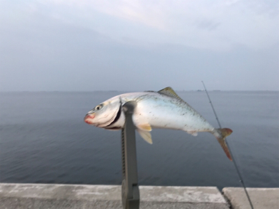 ツバスのお祭り騒ぎ！