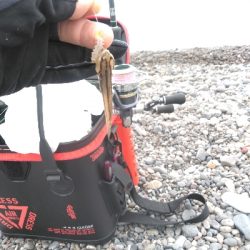 キスを求めて二日目