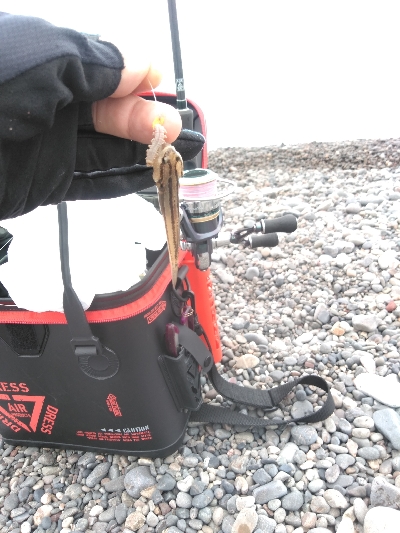 キスを求めて二日目