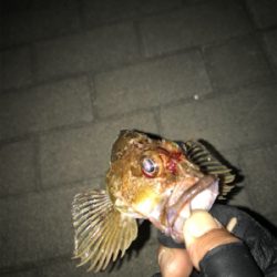 ツバスうじゃうじゃ