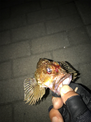 ツバスうじゃうじゃ