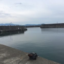 190601田ノ浦漁港夜釣り