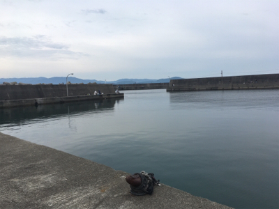 190601田ノ浦漁港夜釣り