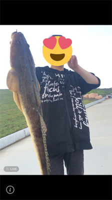 コチ62cm！