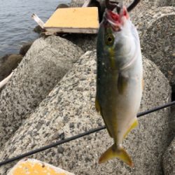 今シーズン初フィッシュ