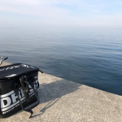 淡路島チョイ投げ